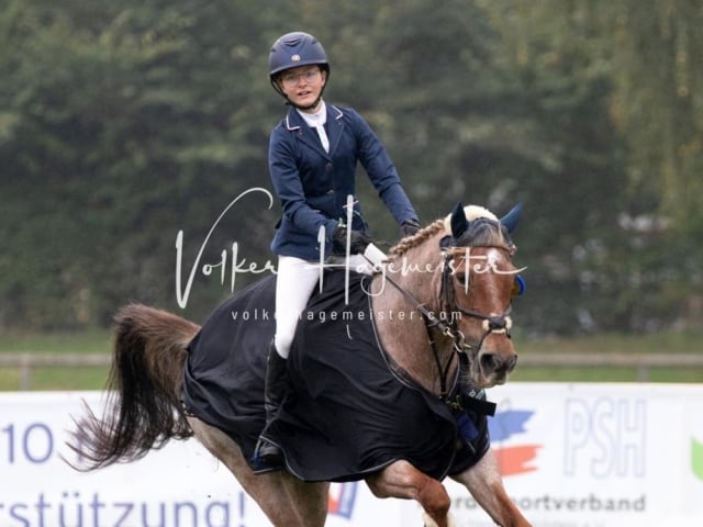 Landesponyturnier SH/HH Impressionen Samstag 3