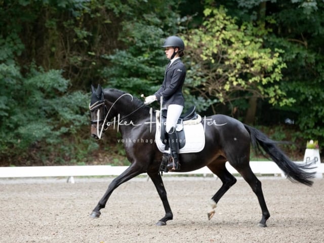 Landesponyturnier SH/HH Impressionen Samstag 7