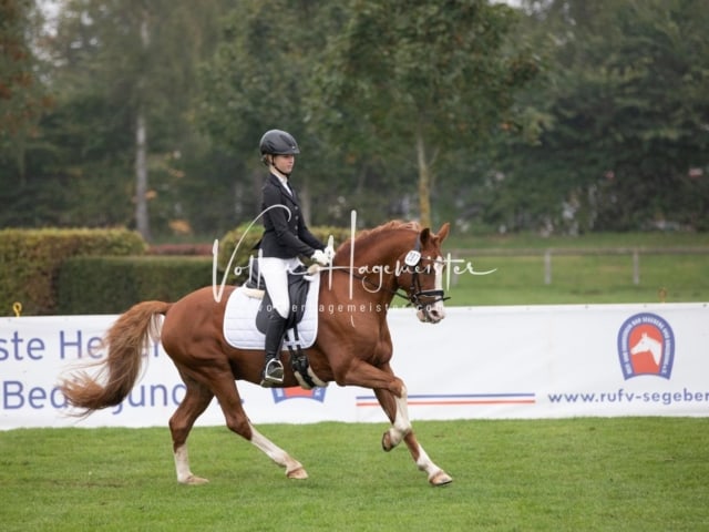 Landesponyturnier SH/HH Impressionen Samstag 11