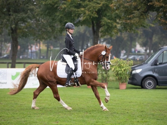 Landesponyturnier SH/HH Impressionen Samstag 12