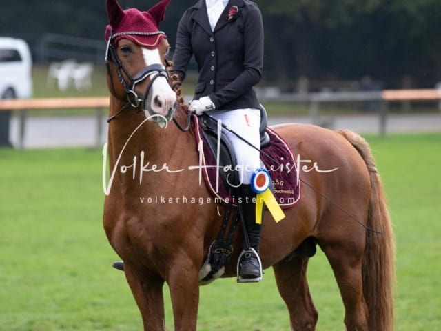 Landesponyturnier Impressionen Sonntag 5