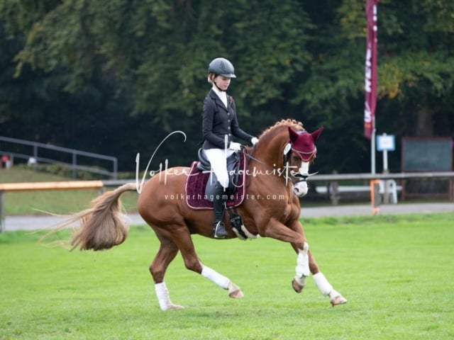 Landesponyturnier Impressionen Sonntag 6