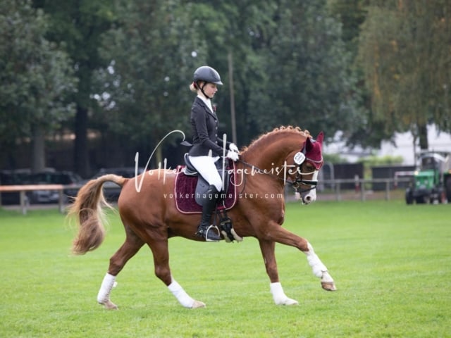 Landesponyturnier Impressionen Sonntag 7