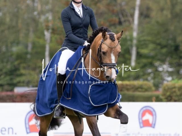 Landesponyturnier SH/HH Impressionen Samstag 13