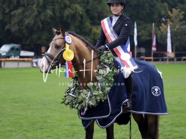 Landesponyturnier Impressionen Sonntag 10