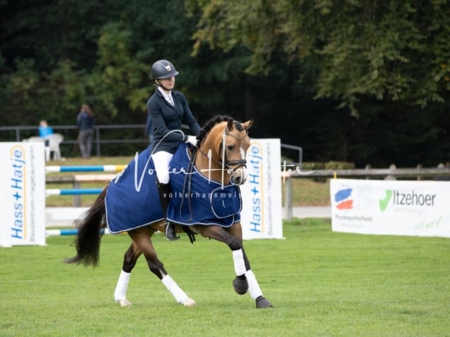 Landesponyturnier SH/HH Impressionen Samstag 14