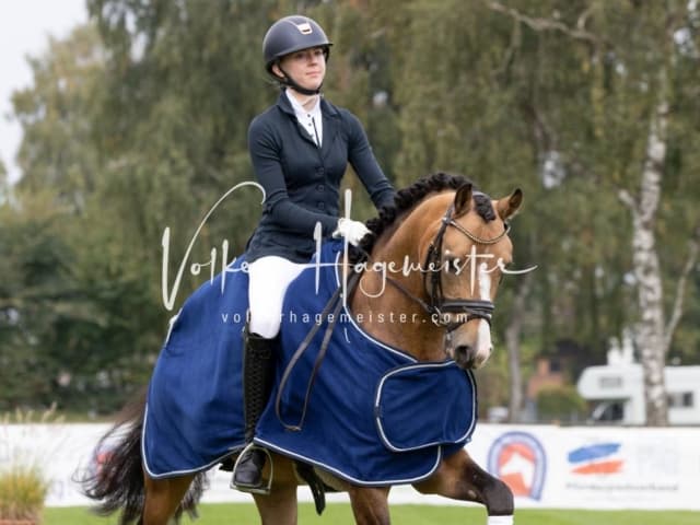 Landesponyturnier SH/HH Impressionen Samstag 17