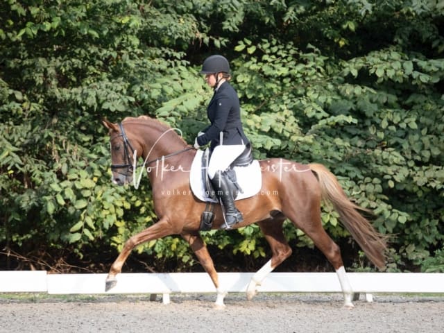 Landesponyturnier SH/HH Impressionen Samstag 18