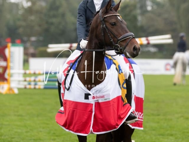 Landesponyturnier Impressionen Sonntag 11