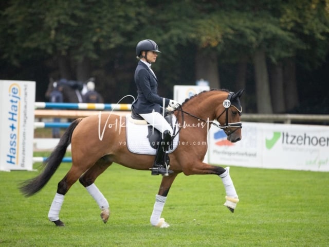 Landesponyturnier SH/HH Impressionen Samstag 23