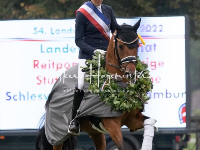 Landesponyturnier SH/HH Impressionen Samstag 25