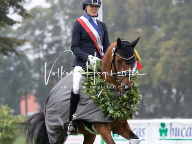 Landesponyturnier SH/HH Impressionen Samstag 26