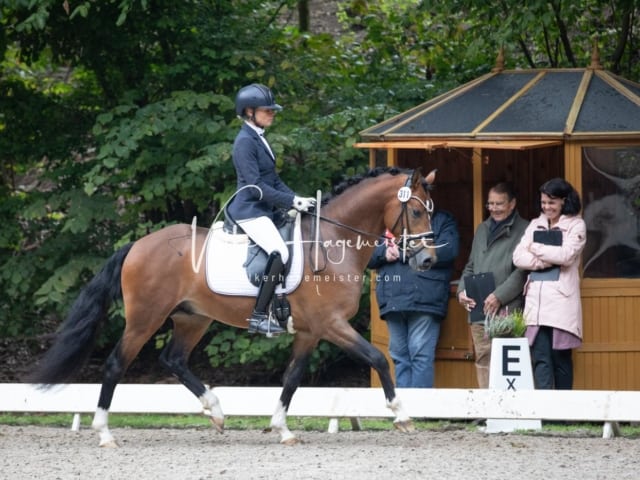 Landesponyturnier SH/HH Impressionen Samstag 27