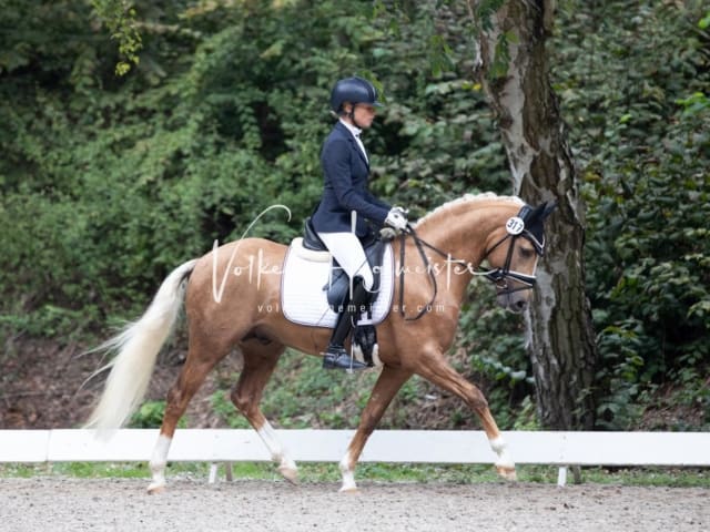 Landesponyturnier SH/HH Impressionen Samstag 28