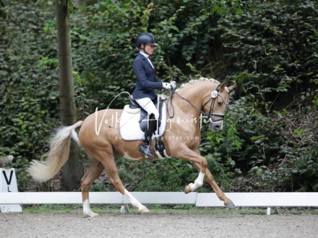 Landesponyturnier SH/HH Impressionen Samstag 1