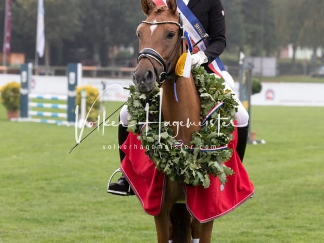 Landesponyturnier SH/HH Impressionen Samstag 2