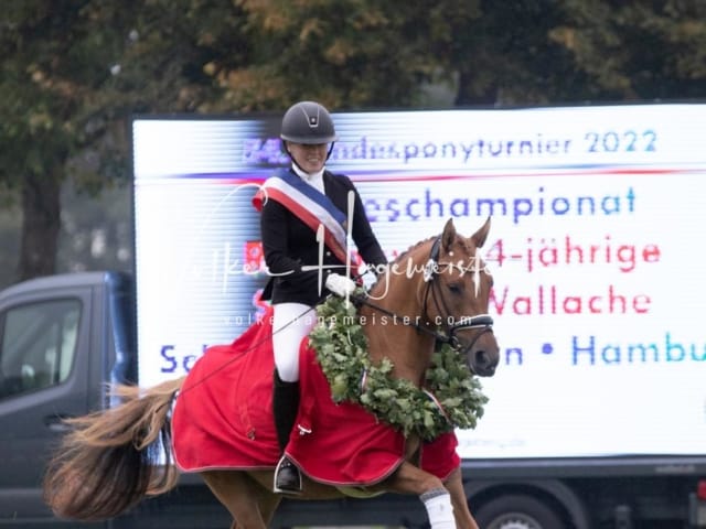 Landesponyturnier SH/HH Impressionen Samstag 3