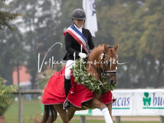 Landesponyturnier SH/HH Impressionen Samstag 4