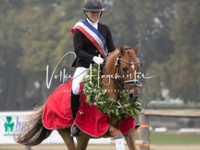 Landesponyturnier SH/HH Impressionen Samstag 5