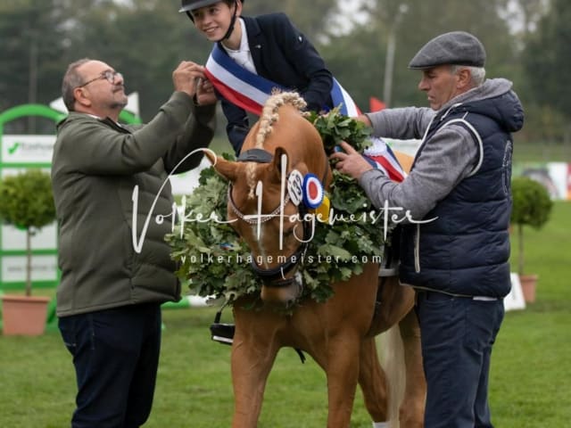 Landesponyturnier SH/HH Impressionen Samstag 11