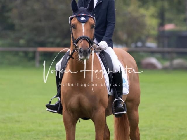 Landesponyturnier Impressionen Sonntag 14