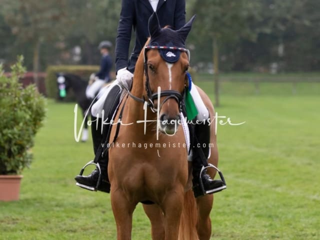 Landesponyturnier Impressionen Sonntag 15