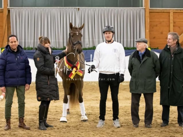 ZfdP Körung Sonntag 20