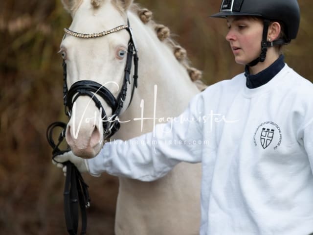 ZfdP Körung Sonntag 13