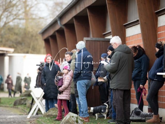 ZfdP Körung Sonntag 20