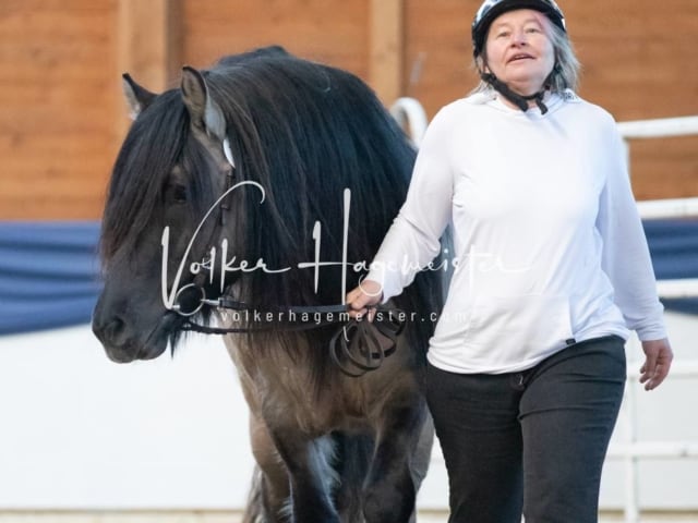 ZfdP Körung Sonntag 28