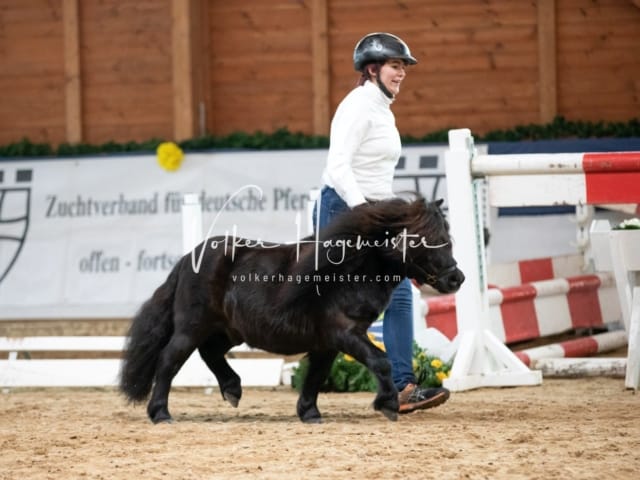 ZfdP Körung Sonntag 19