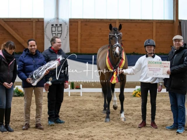 ZfdP Körung Samstag 4