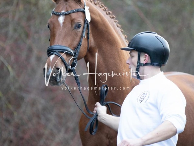 ZfdP Körung Freitag 8