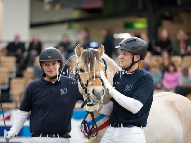 Impressionen PSB Körung Samstag 26