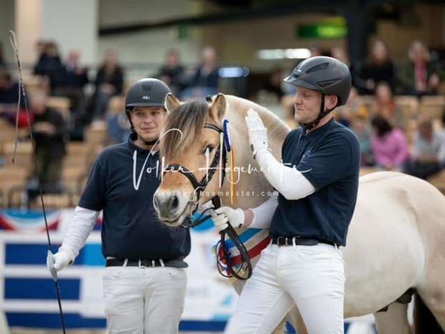 Impressionen PSB Körung Samstag 27