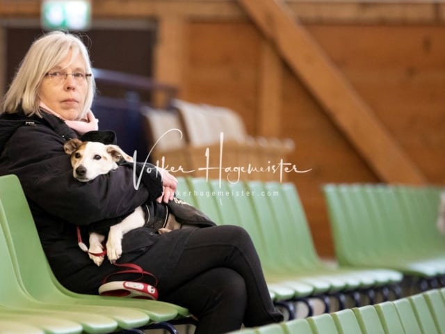 ZfdP Körung Samstag 25