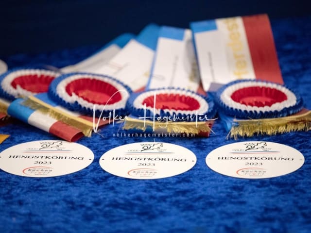 Impressionen PSB Körung Samstag 5