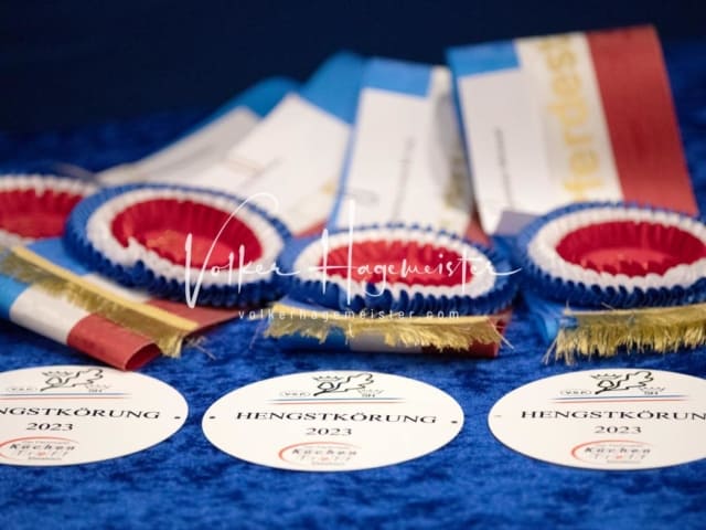 Impressionen PSB Körung Samstag 6