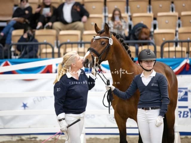 Impressionen PSB Körung Samstag 9