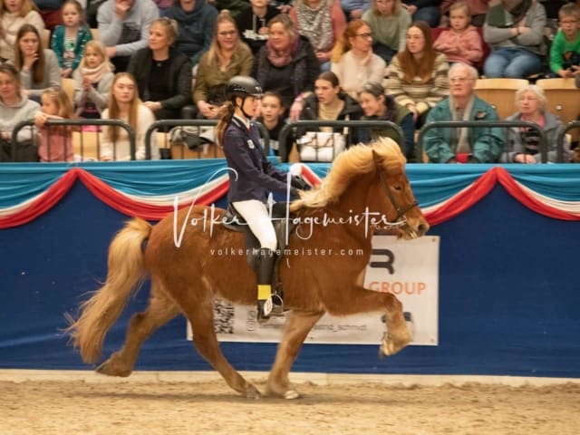 Impressionen PSK Körung Sonntag 20