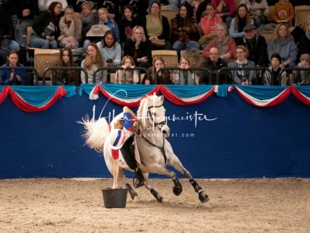 Impressionen PSK Körung Sonntag 23