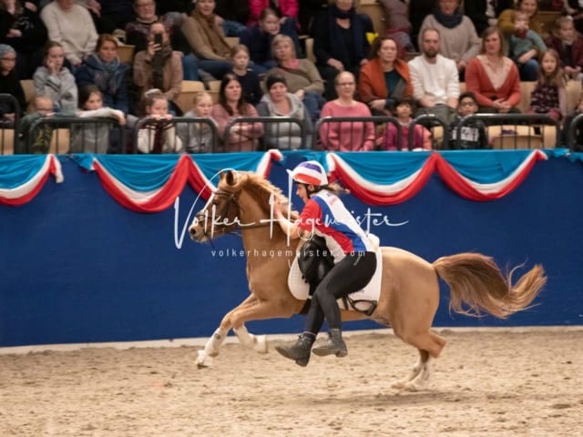 Impressionen PSK Körung Sonntag 24
