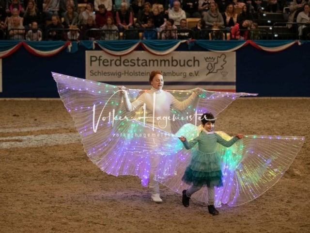 Impressionen PSK Körung Sonntag 25