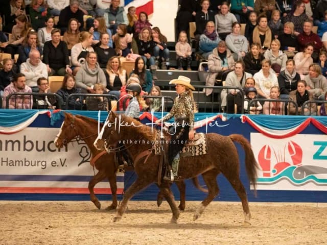 Impressionen PSK Körung Sonntag 26