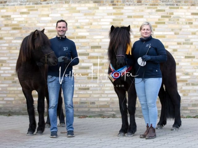 Impressionen PSB Körung Samstag 22