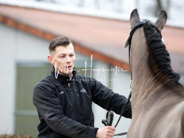 ZfdP Körung Luhmühlen 16