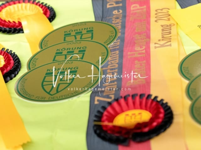 ZfdP Körung Luhmühlen 18