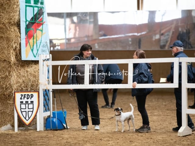 ZfdP Körung Luhmühlen 21