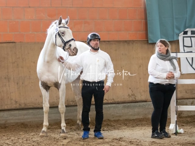 ZfdP Körung Luhmühlen 24