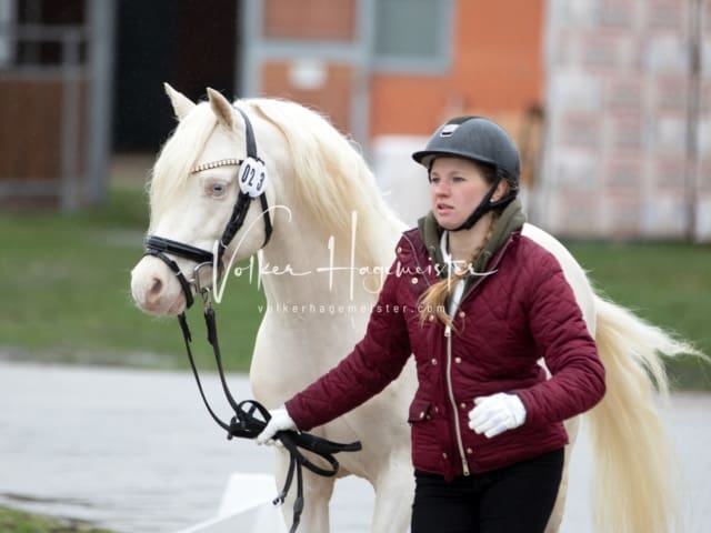 ZfdP Körung Luhmühlen 17